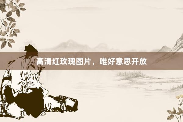 高清红玫瑰图片，唯好意思开放