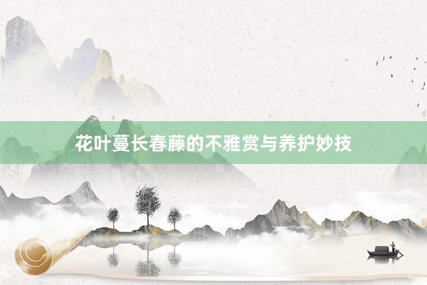 花叶蔓长春藤的不雅赏与养护妙技