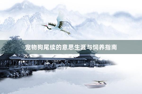 宠物狗尾续的意思生涯与饲养指南